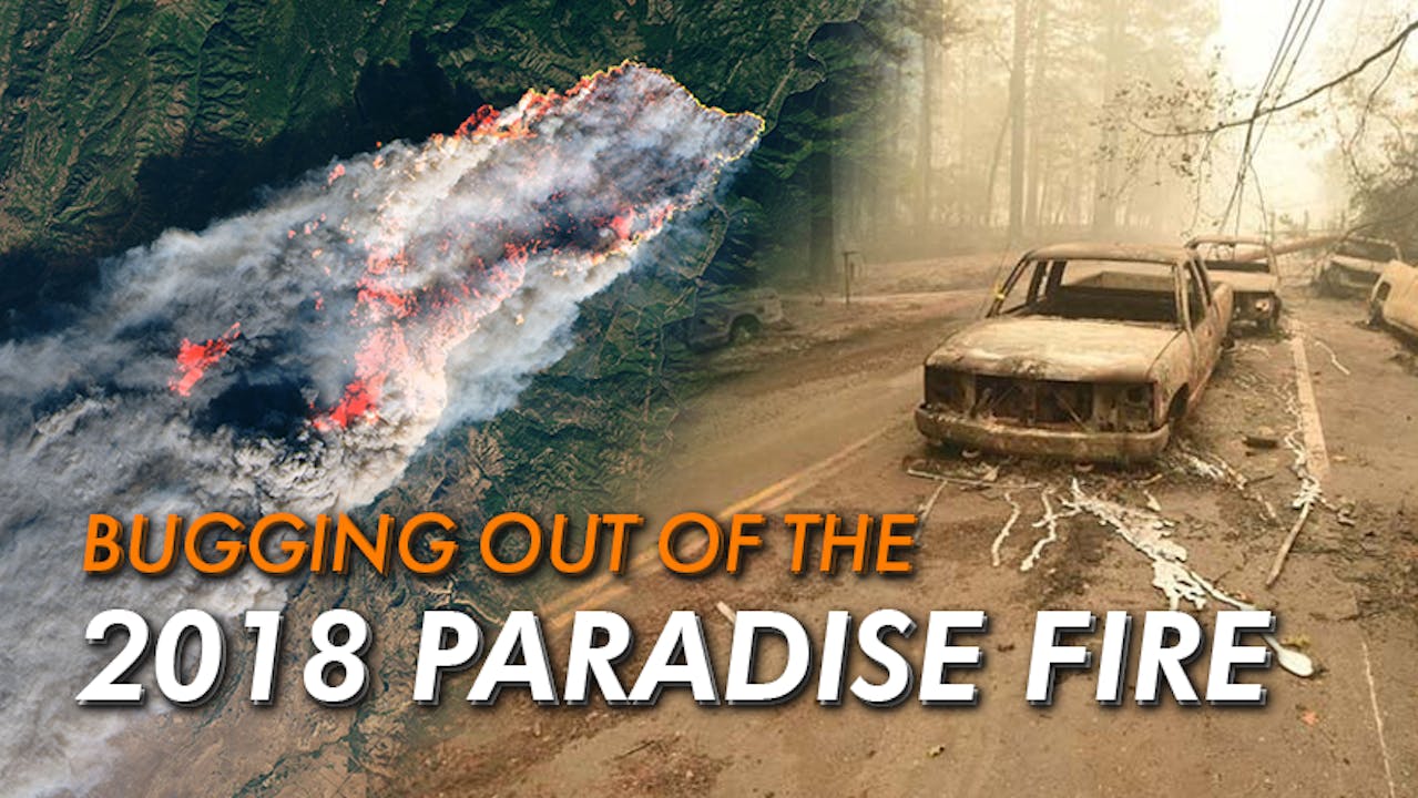 Inferno Unleashed: The Devastating Reality of Wildfires - Fieldcraft