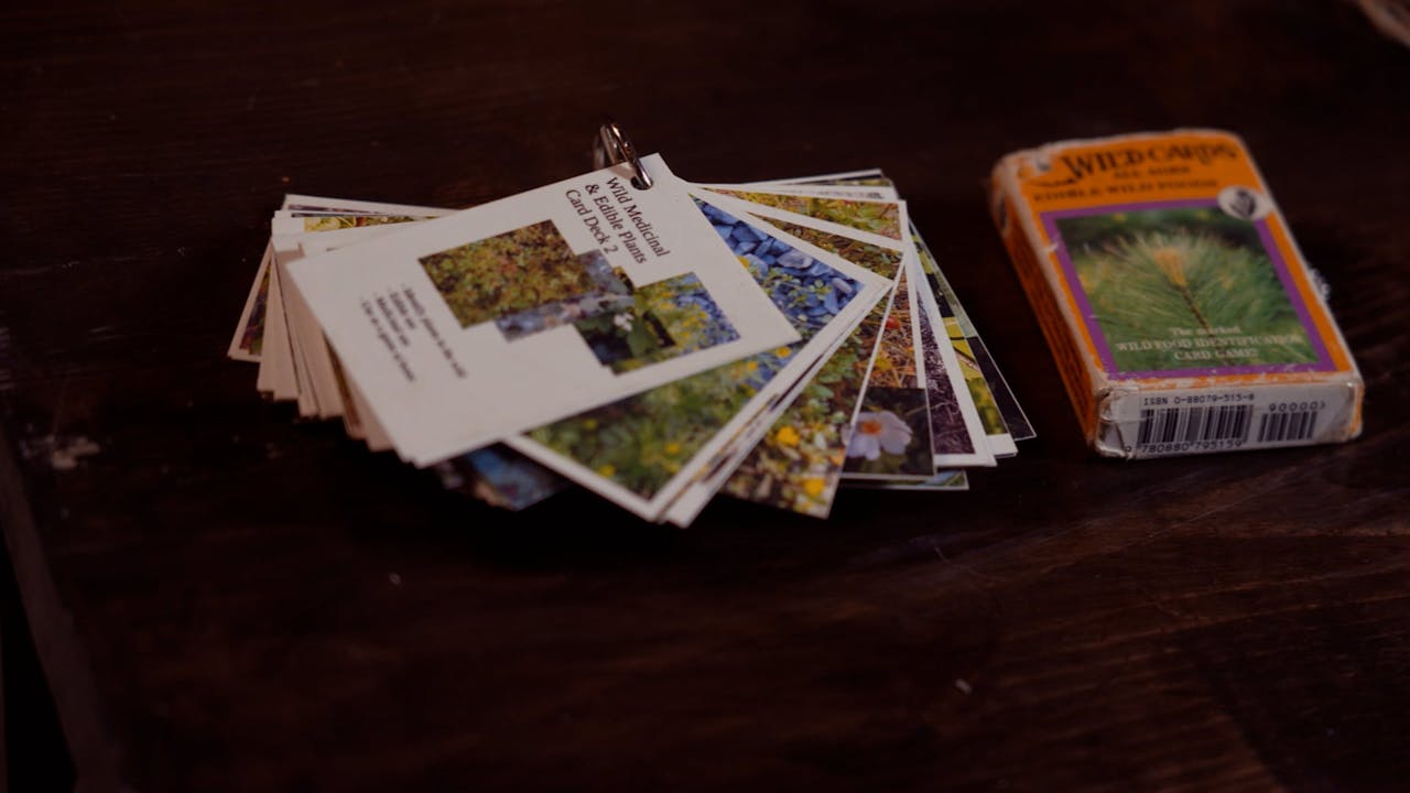 02 Food Learning Edible Plants Season 05 Food Fieldcraft Survival