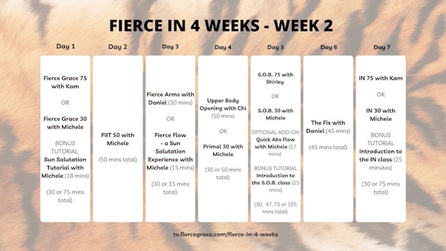 Fierce in 4 Weeks - Week 2