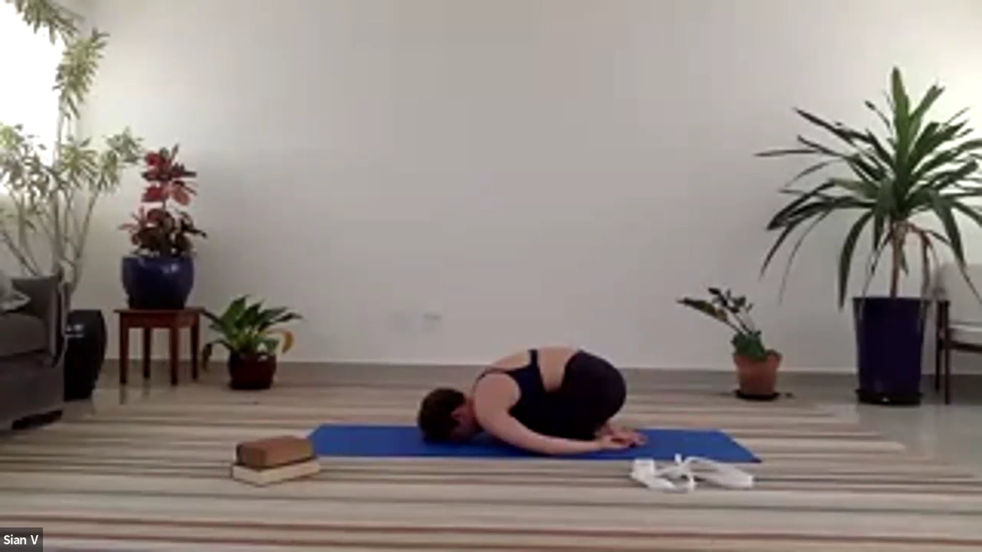 Deep Core 75 Livestream with Michele