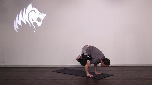 Stretch and Strengthen with Oscar