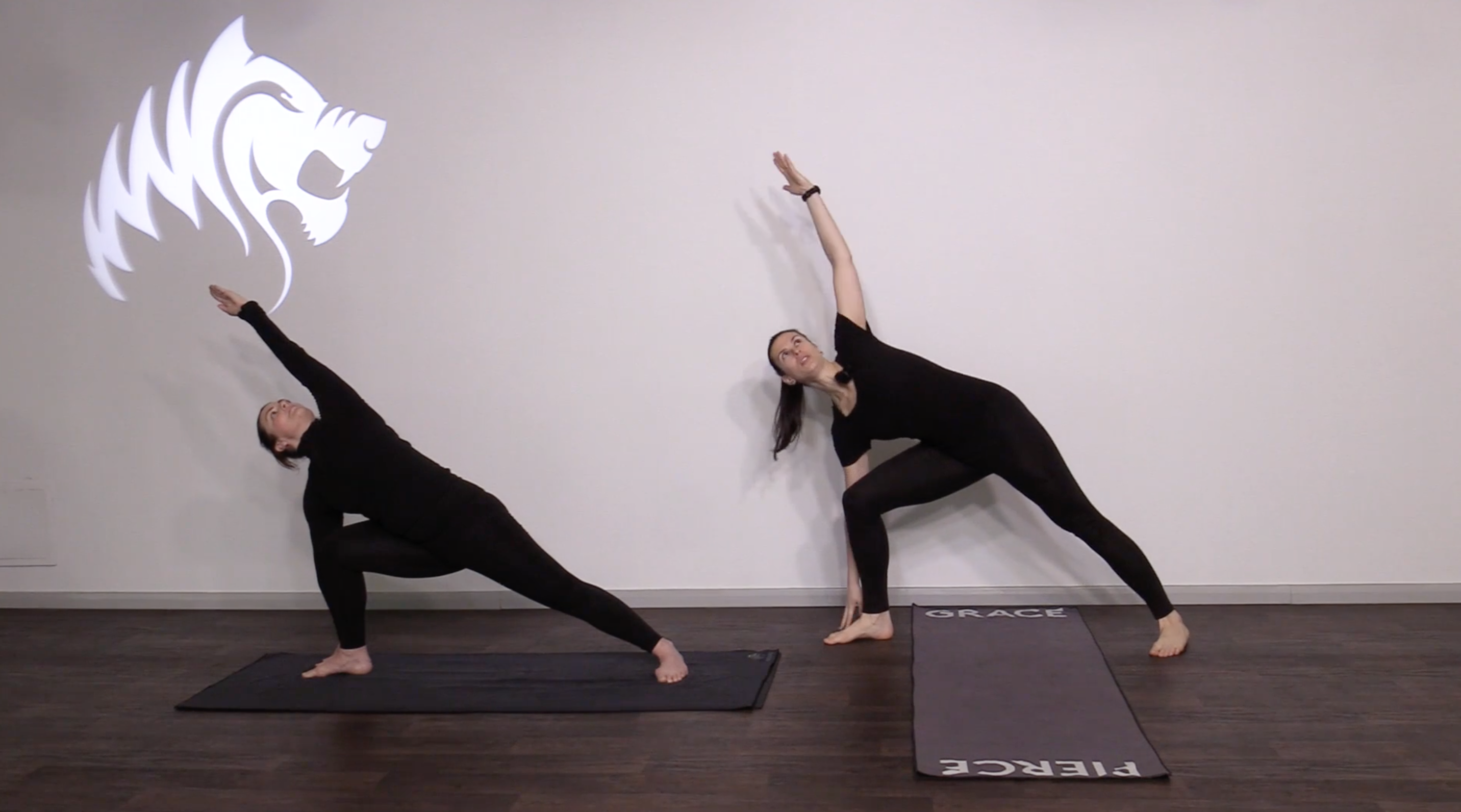 Primal 75 with Lotte