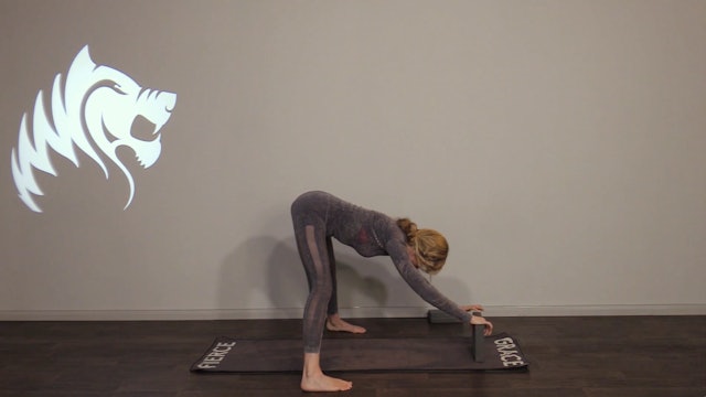 Working with Back Injuries in Yoga Classes with Michele 