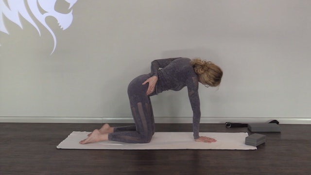 Neck, Shoulder and Upper Back Release with Michele