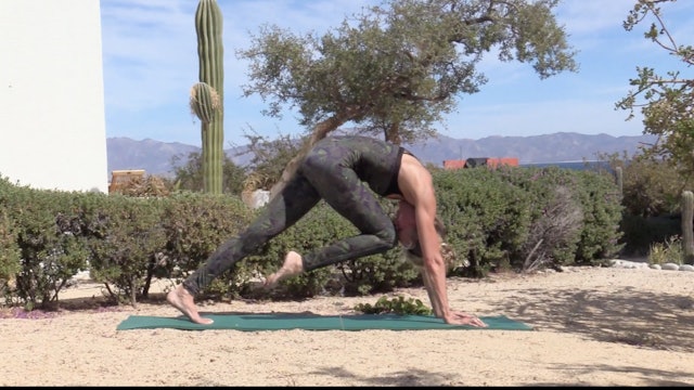 All fours 8 minute mashup with Michele - Mexico