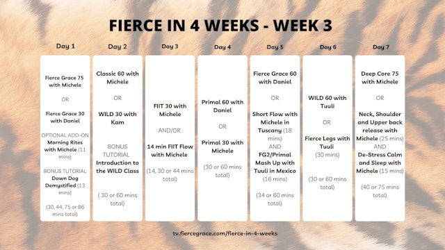 Fierce in 4 Weeks - Week 3