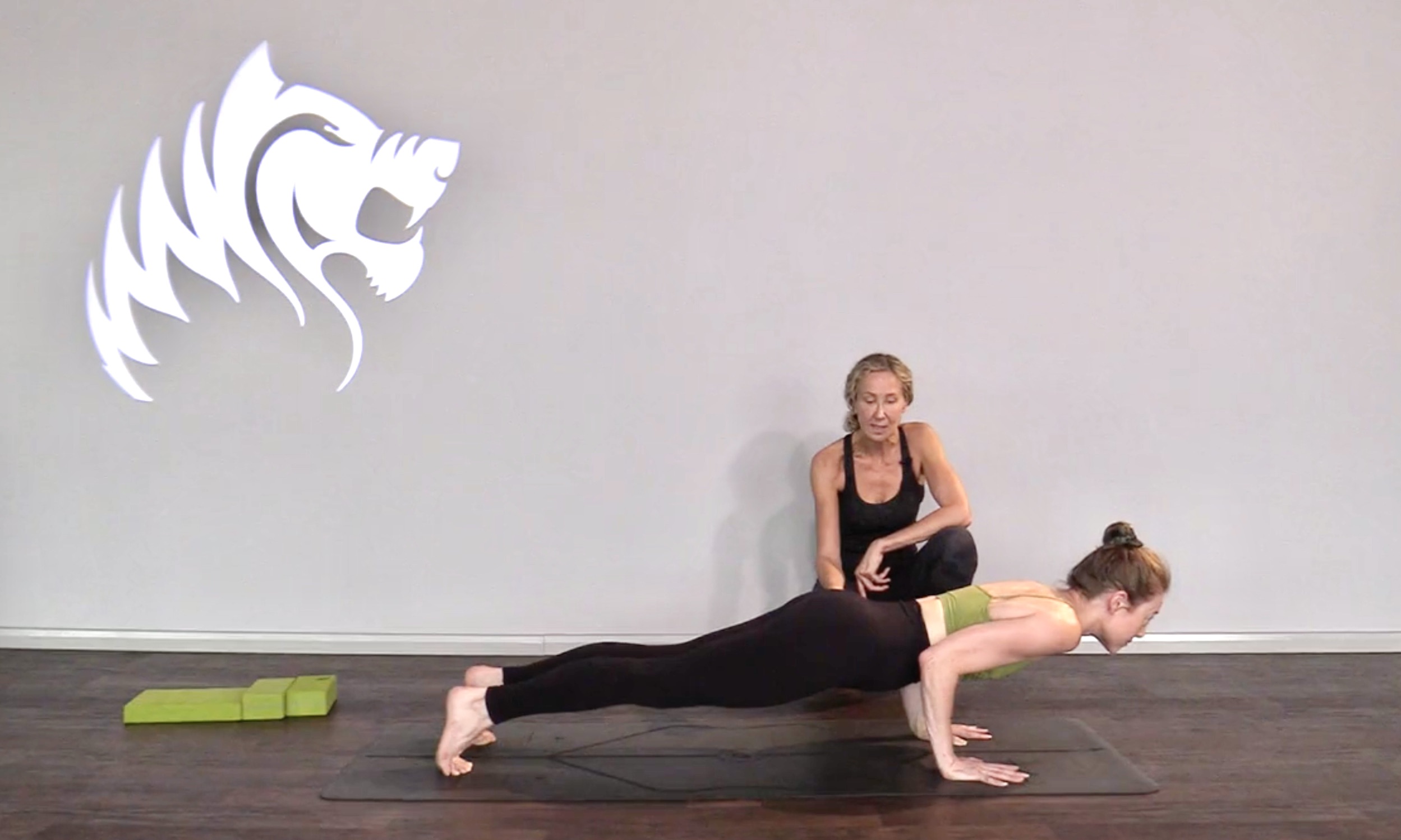 PLANK TO SLOW PUSH UP TUTORIAL - MICHELE