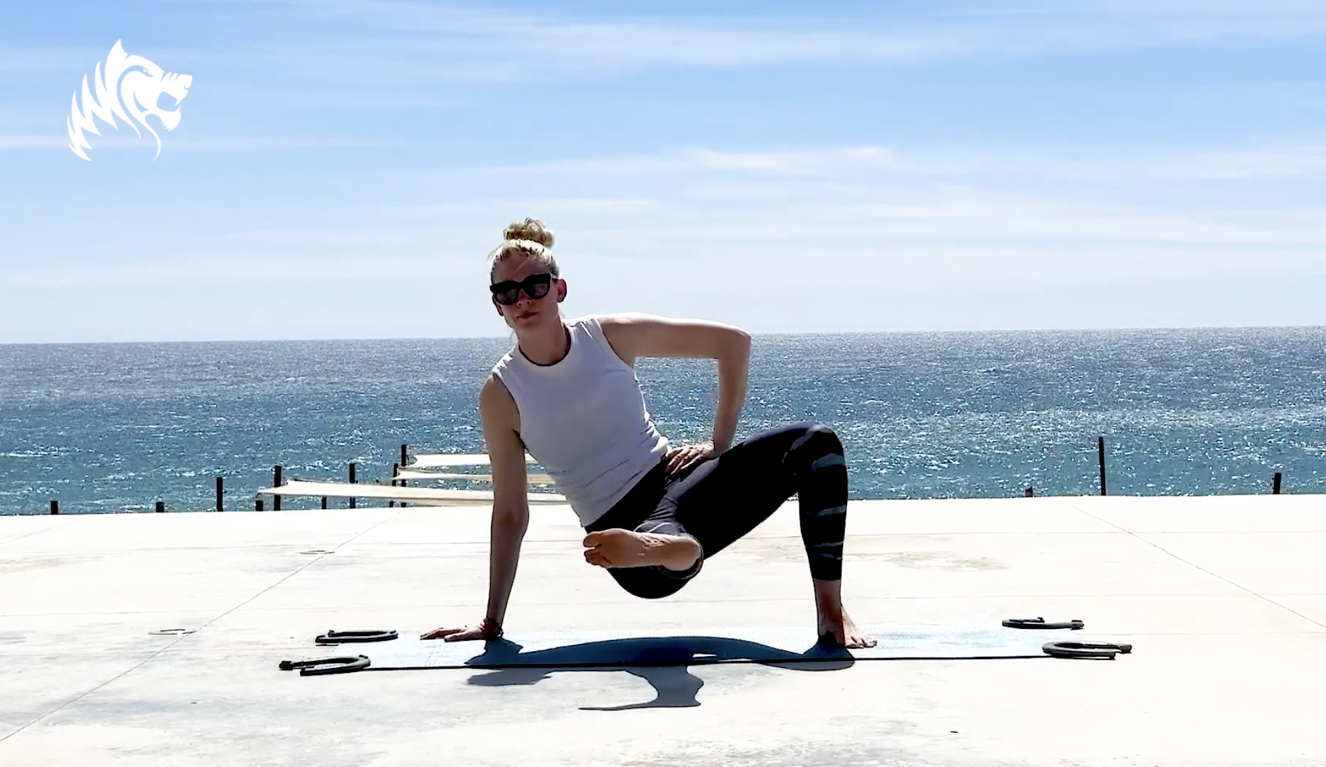 ANIMAL FLOW - 12 mins MICHELE - BAJA