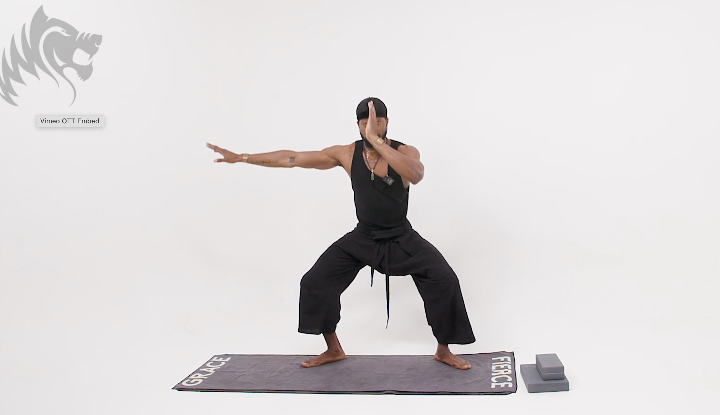 Chi's Chi and Prana Release