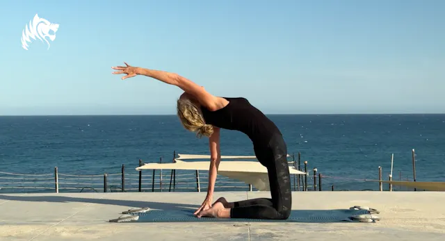 DYNAMIC POWER FLOW - TUULI - BAJA