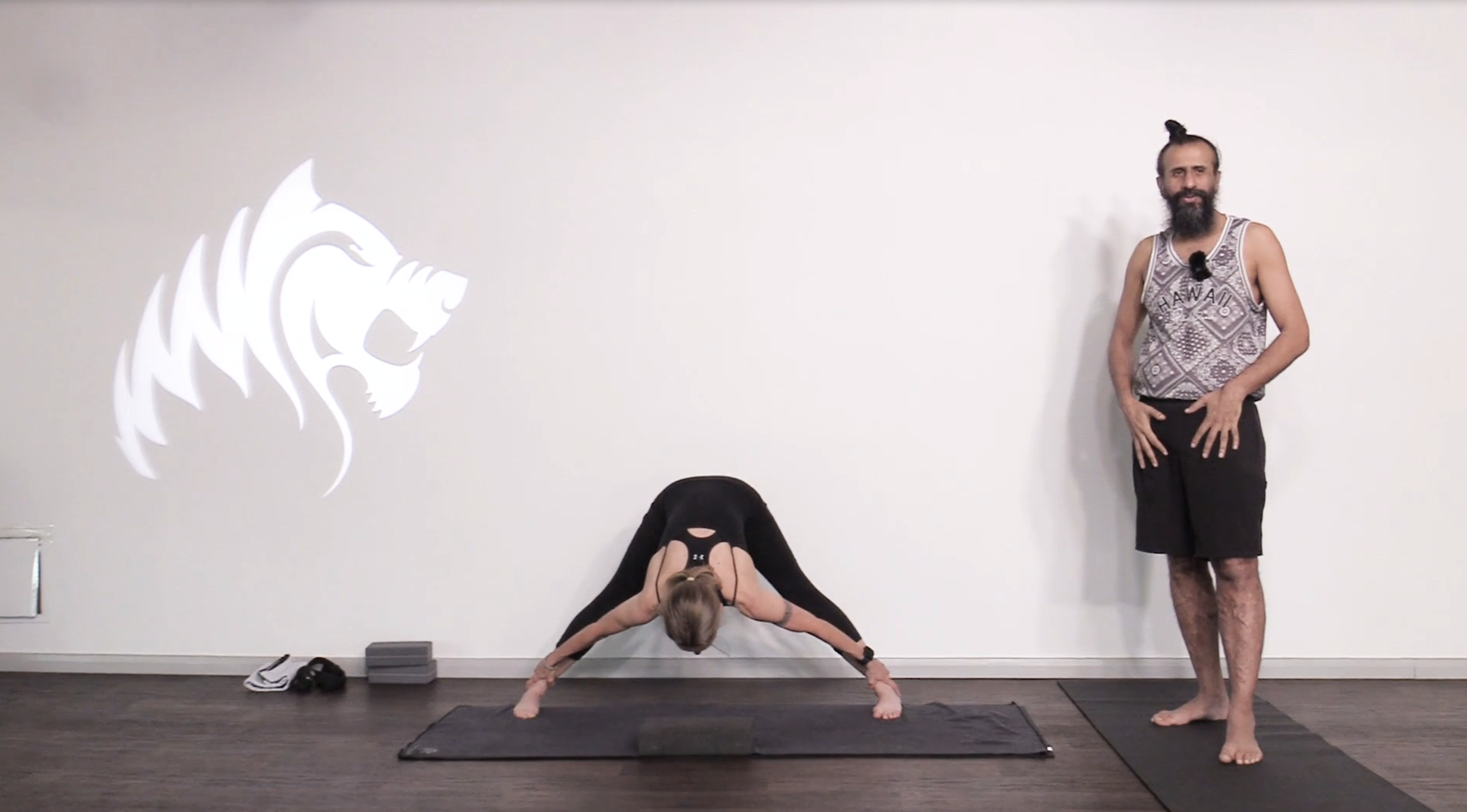 Back Strengthening Sequence 30 with Kam