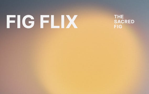 FigFlix monthly subscription, w/ 14 day free trial