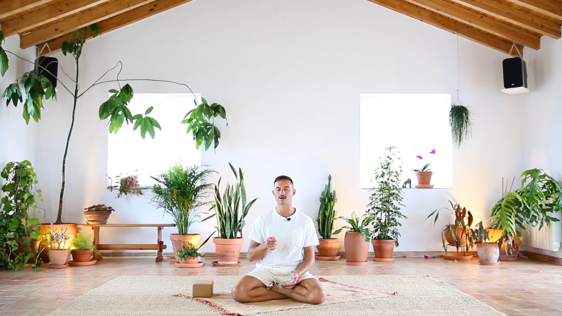 Mantras for Wisdom + Truth