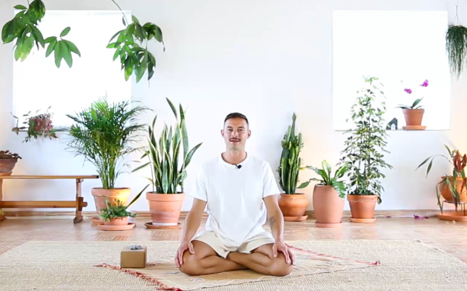 Breathwork + Meditation ONE w/ Tony Lupinacci