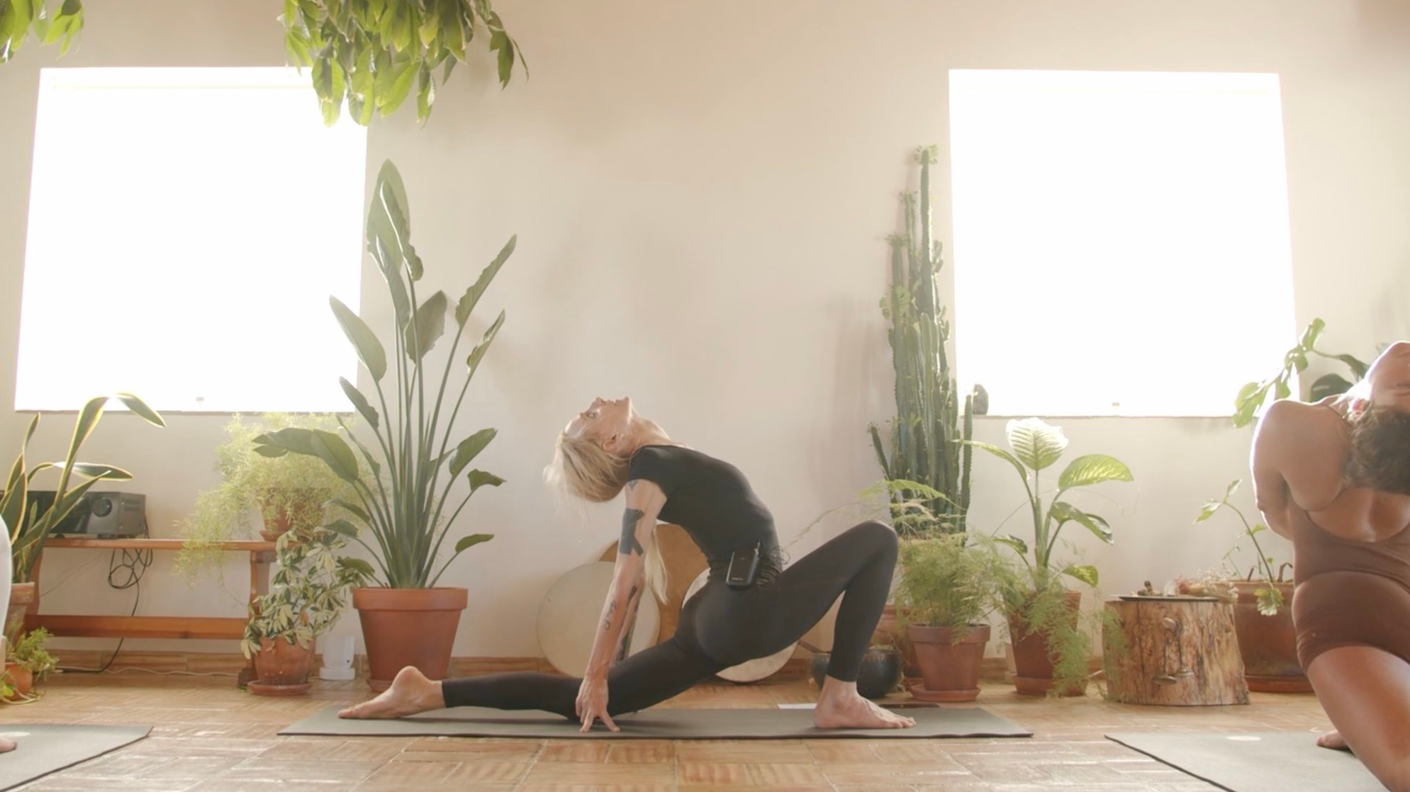 Meridian Yoga Therapy: Heart + Pericardium