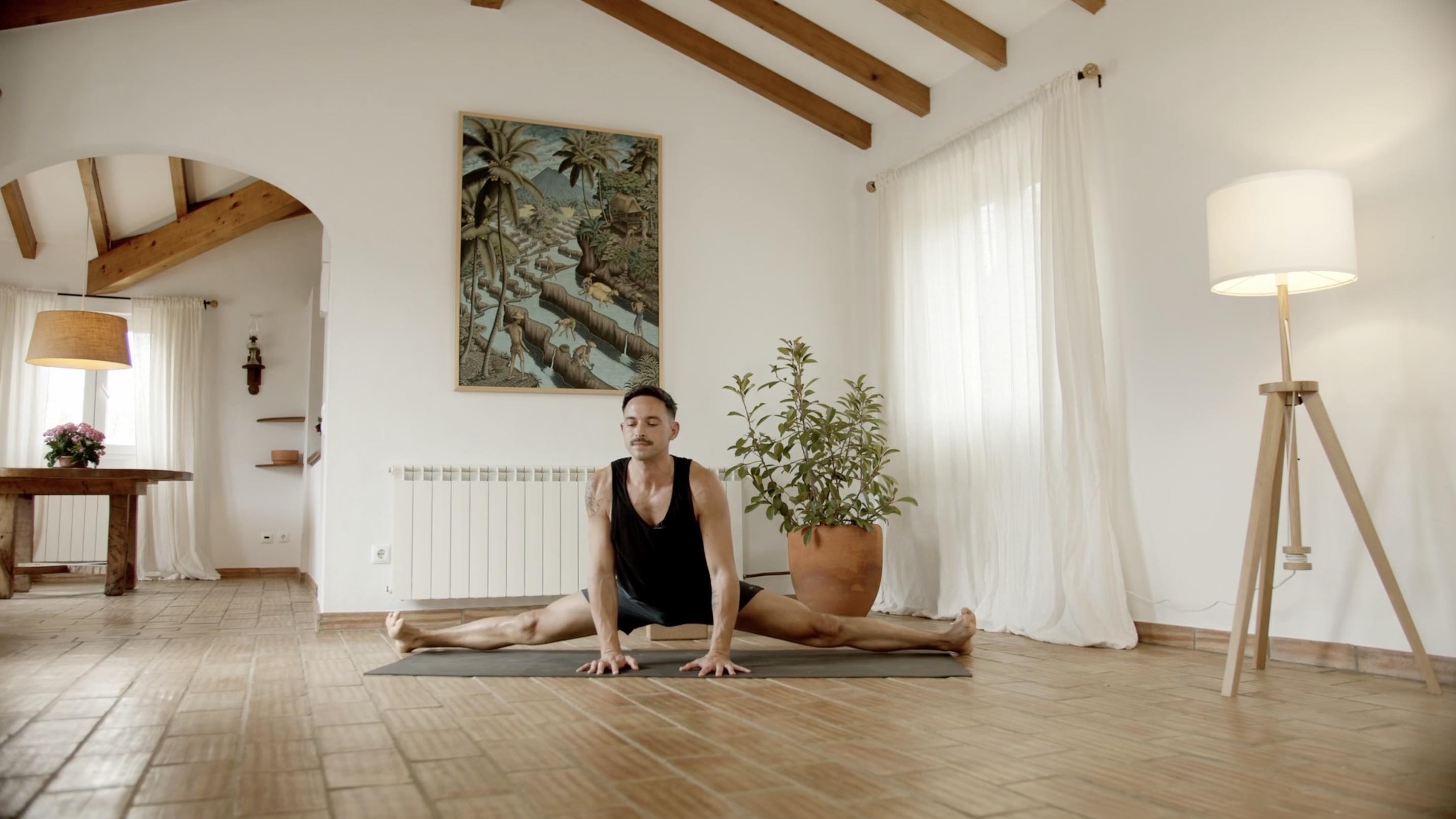 Fly Away With Lupinacci