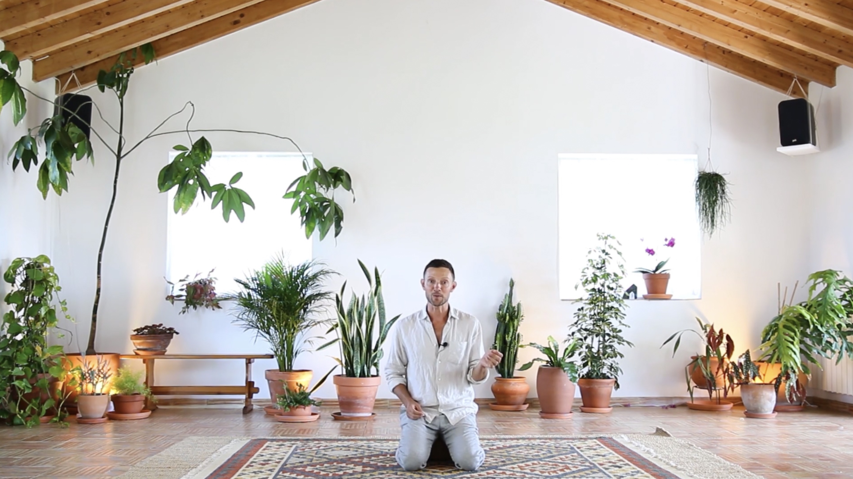 Introduction to Breathwork