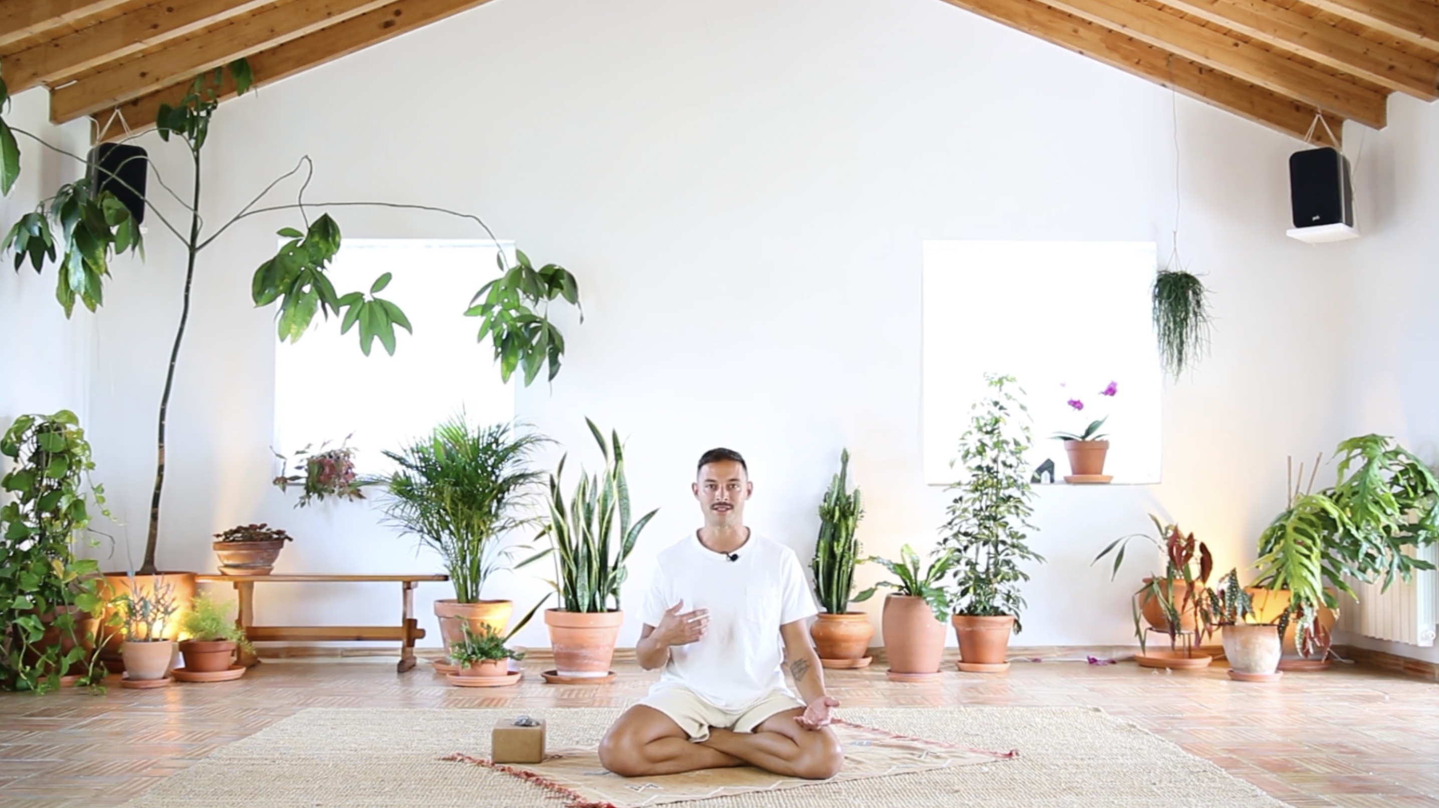 Meditation, Mantra + Breathwork