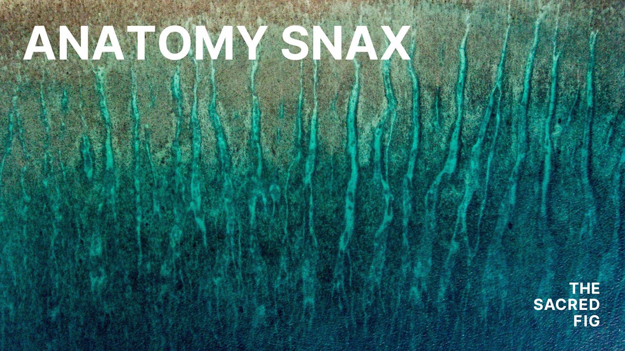 Anatomy Snax