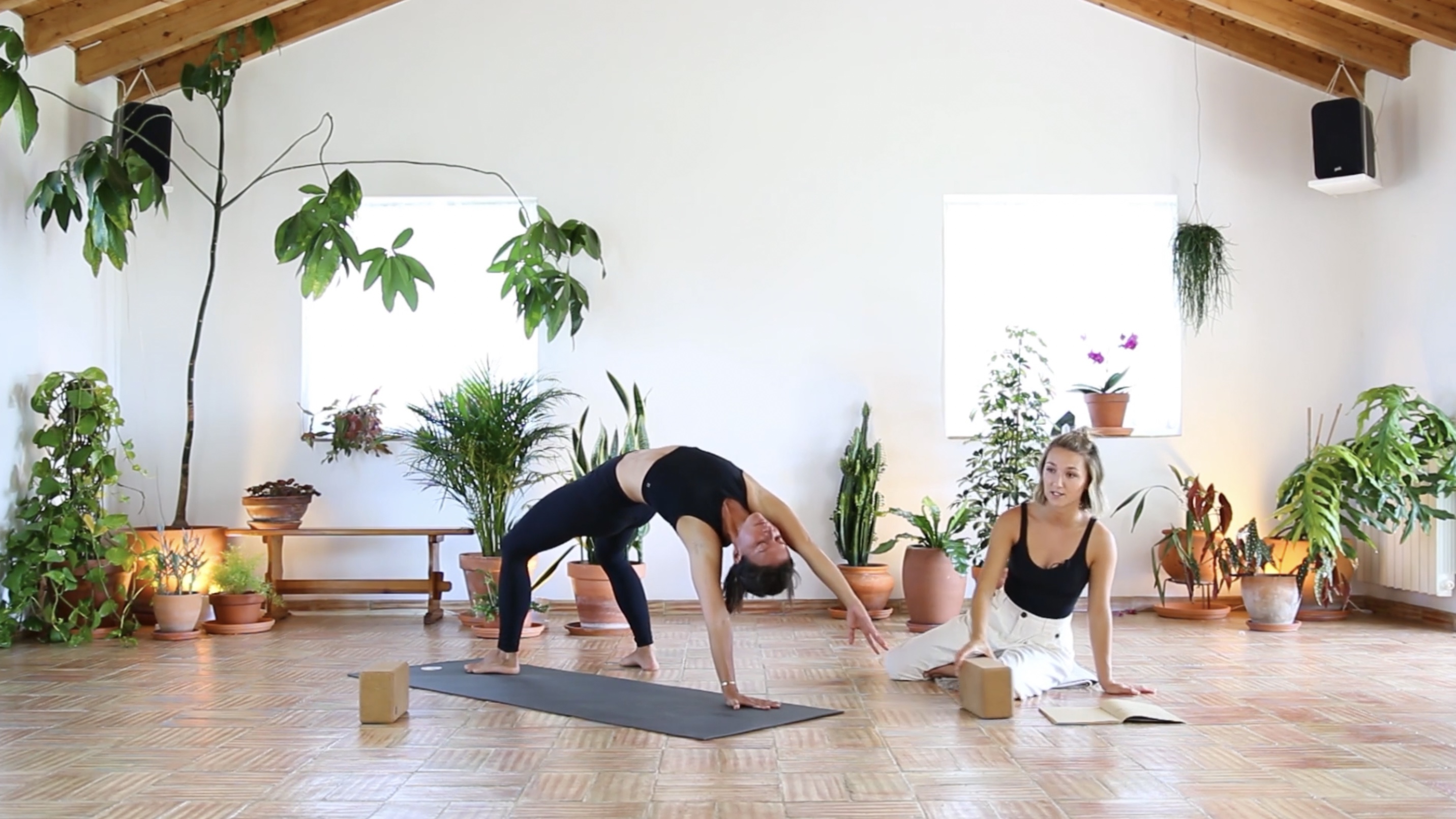 Everything You Need in 23 Minutes