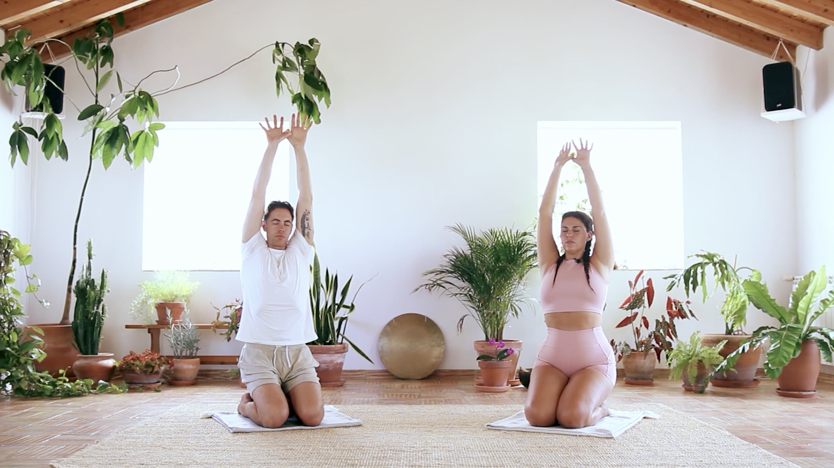 Alchemical Breathwork: Crown