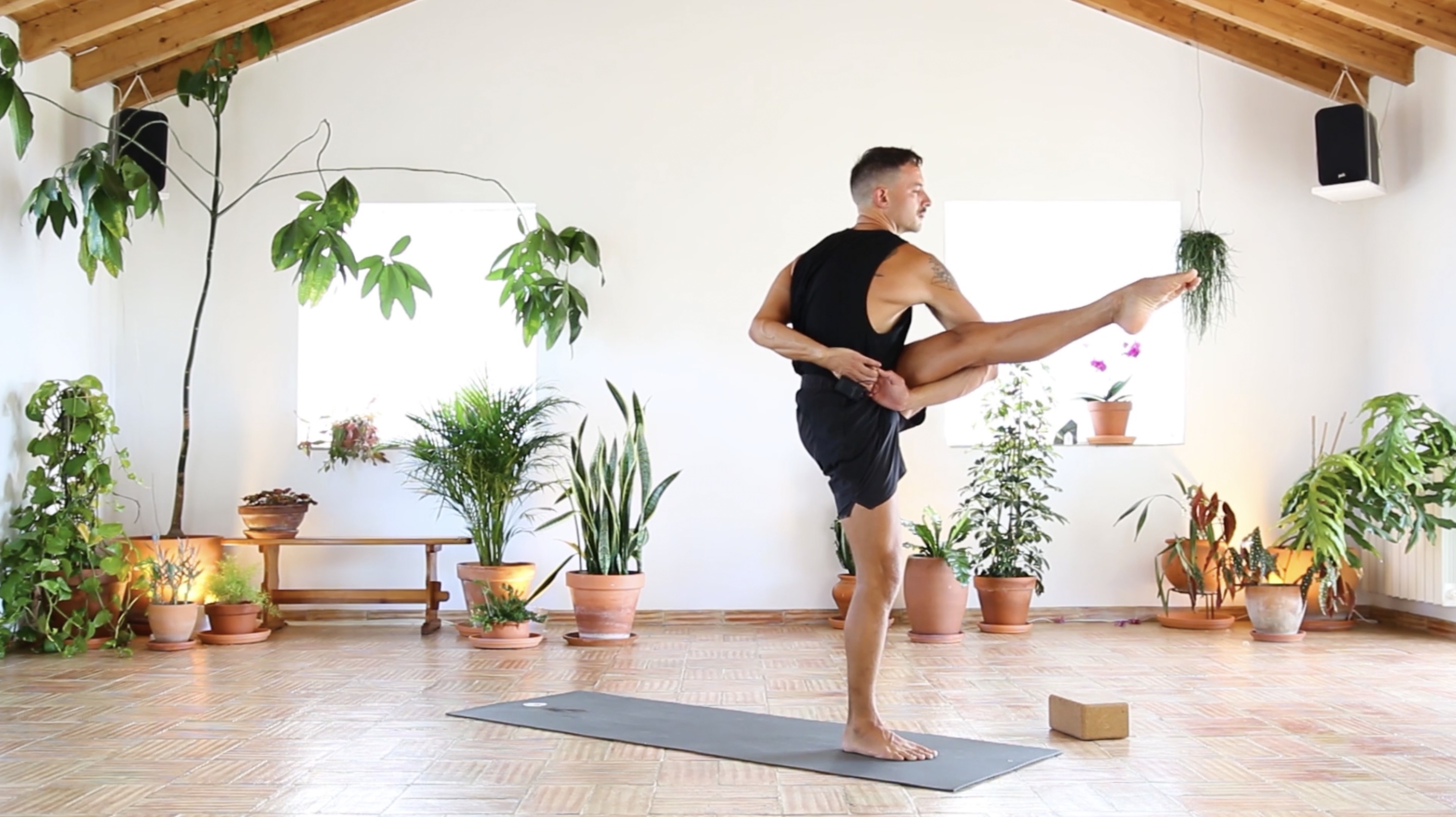 The Lupinacci Special