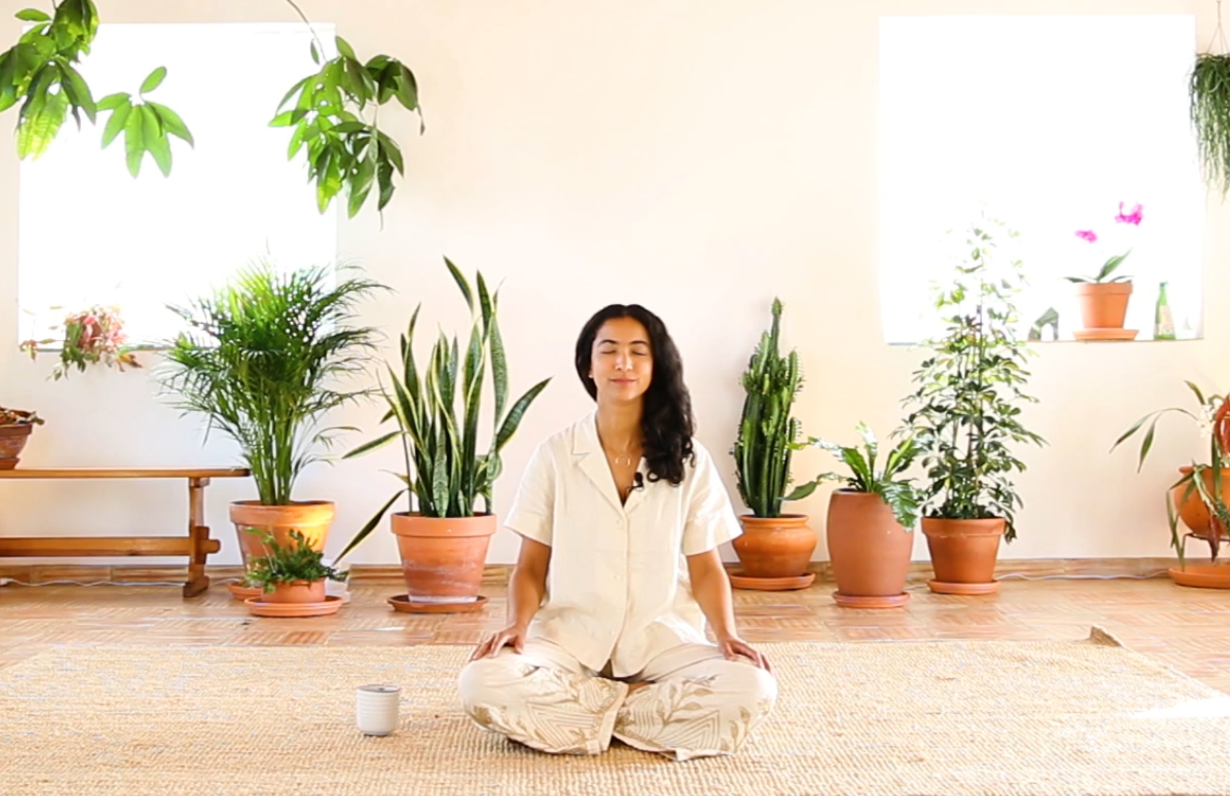 Guided Meditation THREE