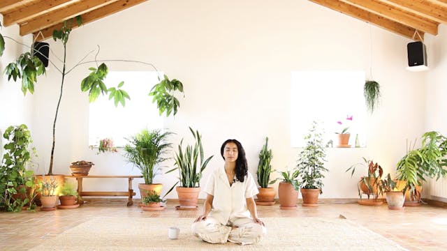 Guided Meditation FIVE