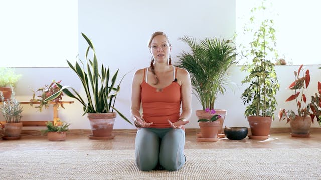 19. The One + Only Psoas