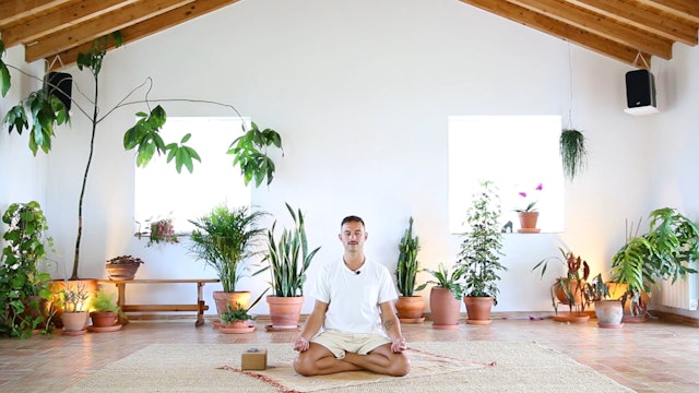 Breathwork + Meditation TWO w/ Tony Lupinacci