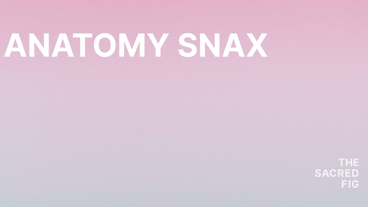 Anatomy Snax