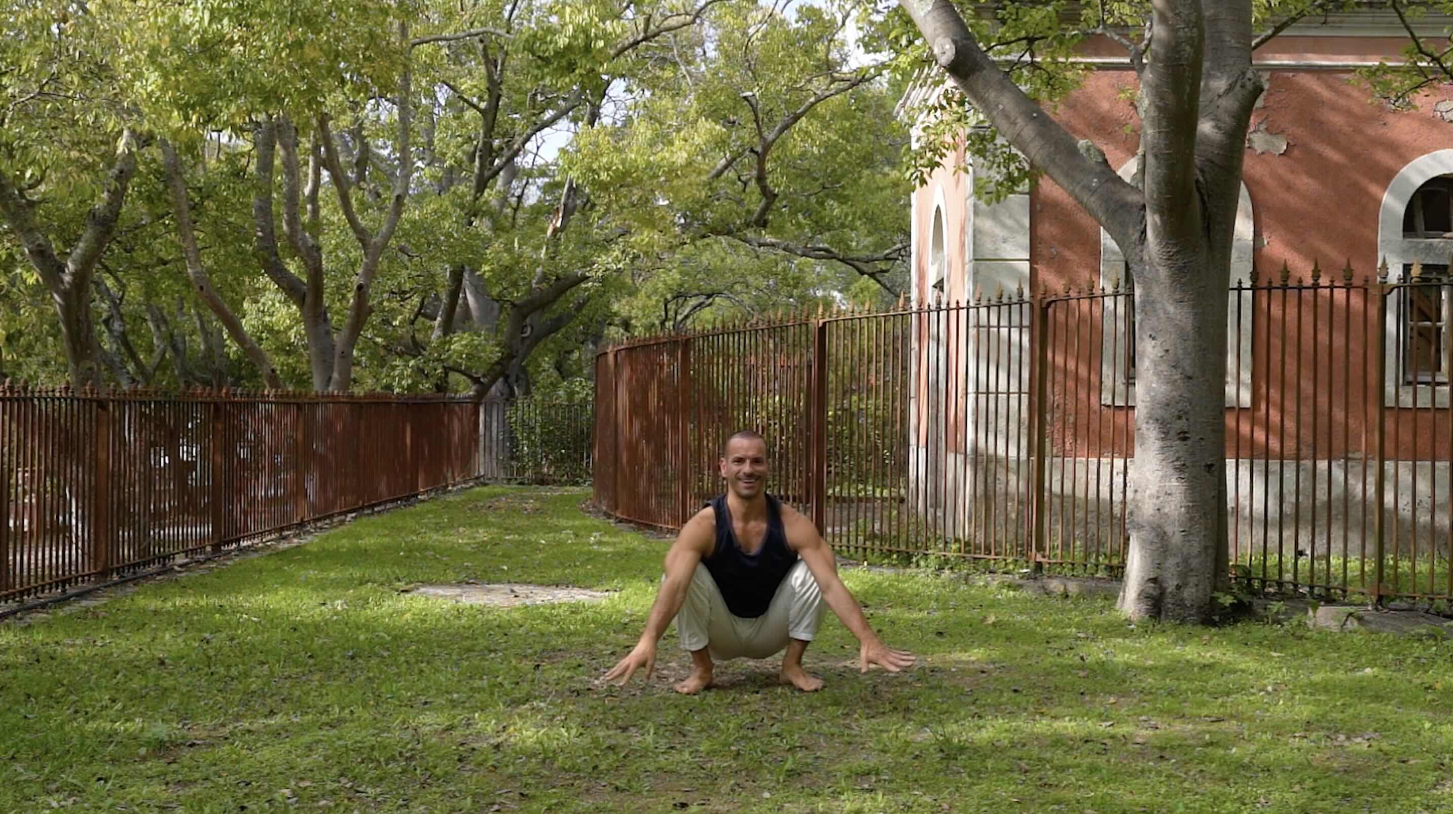 Movement 4: Locomotion