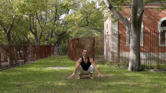 Movement 4: Locomotion