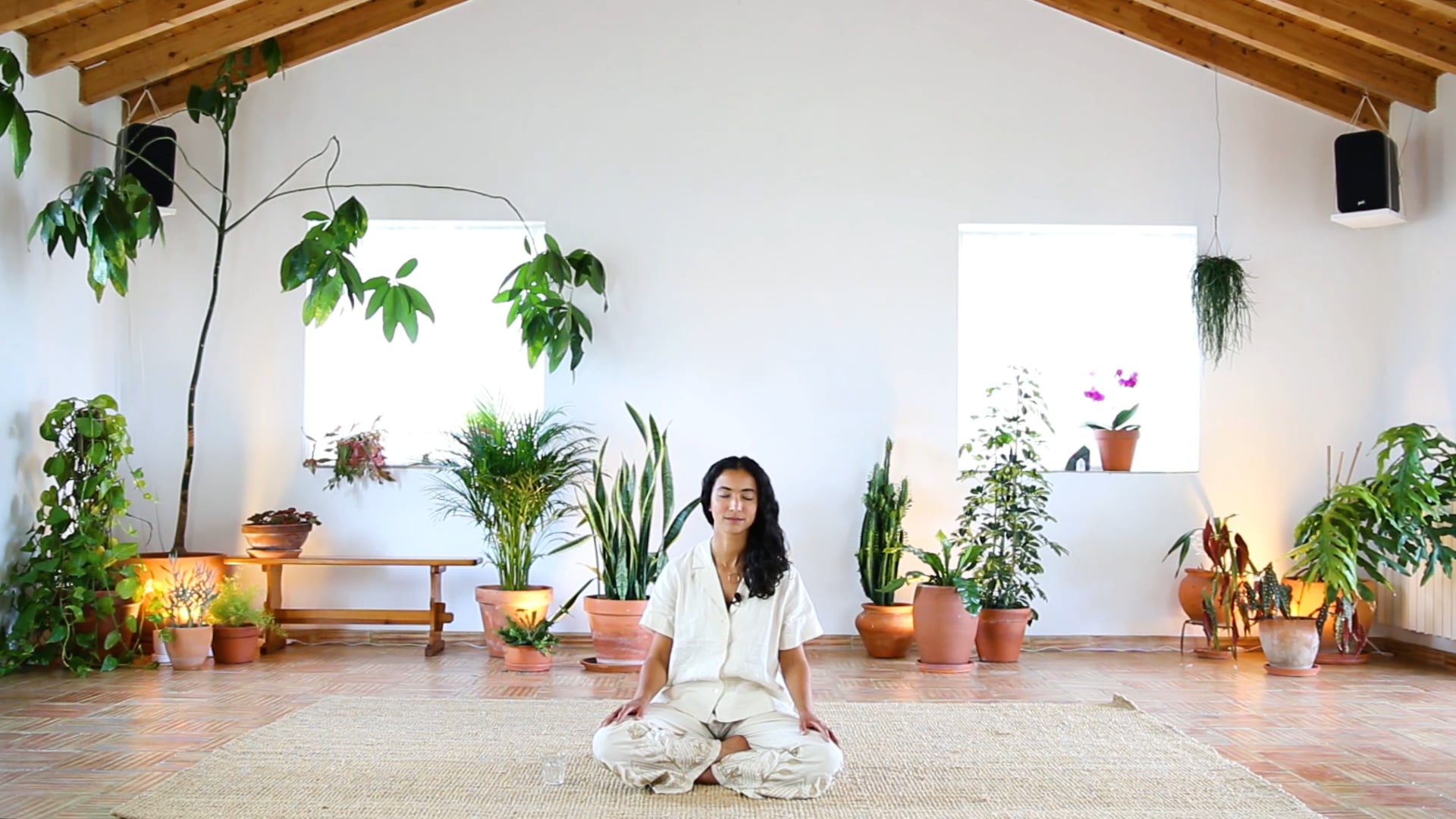 Guided Meditation ONE