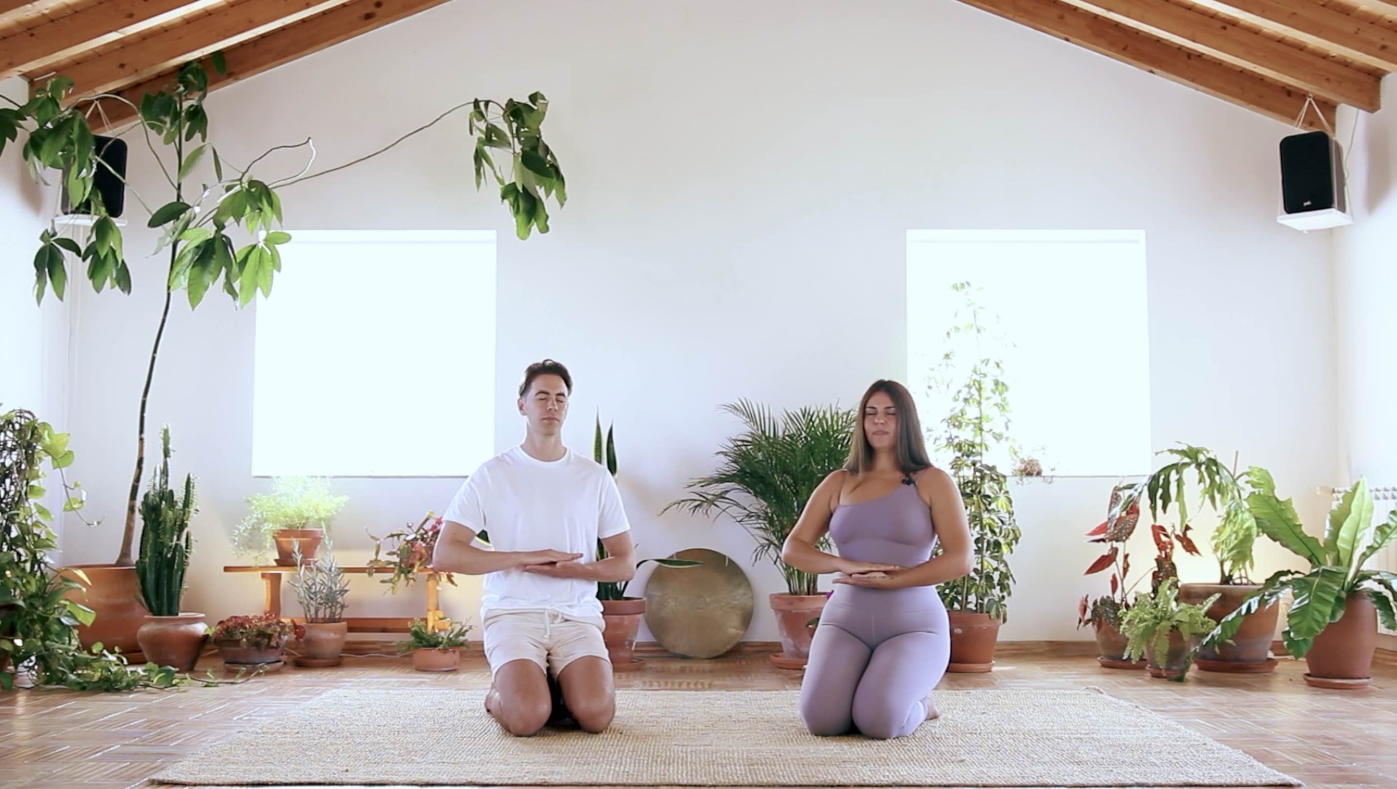 Alchemical Breathwork: Solar Plexus