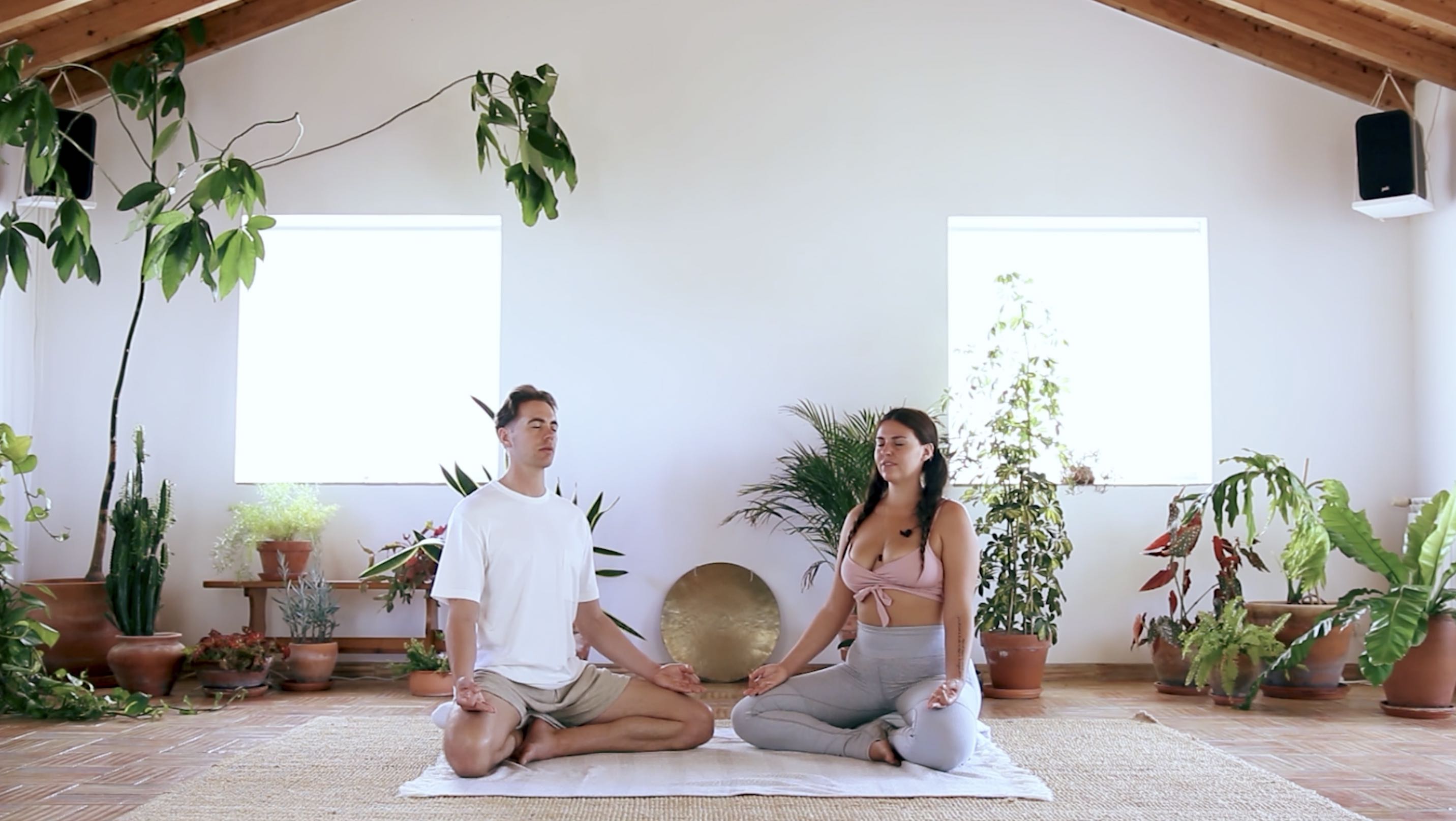 Alchemical Breathwork: Third Eye