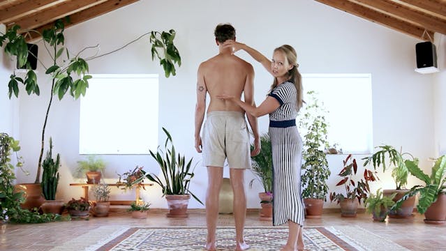 17. Soft Tissue of the Back