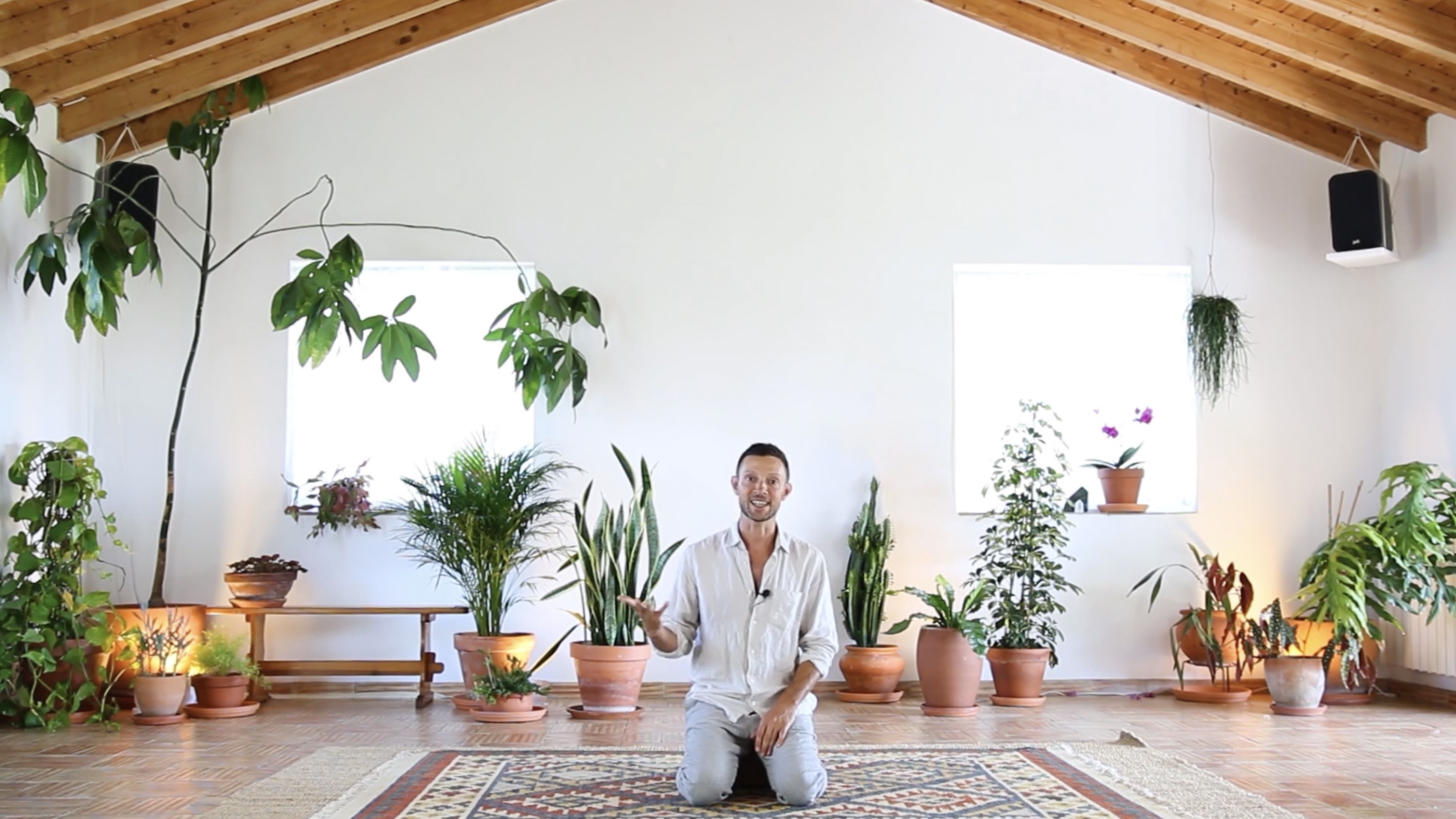 The Mechanics of Breathing