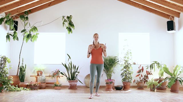 10. Looking At The Body: Introducing Videos 11-19