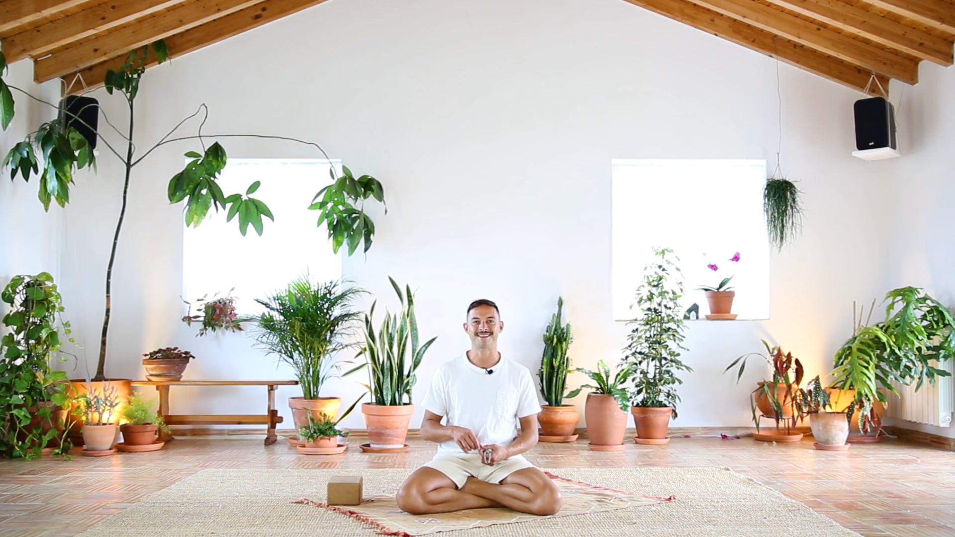 Mantras for Cleansing + Protection