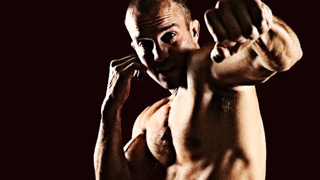 How To Maximize Your Results With Fig...