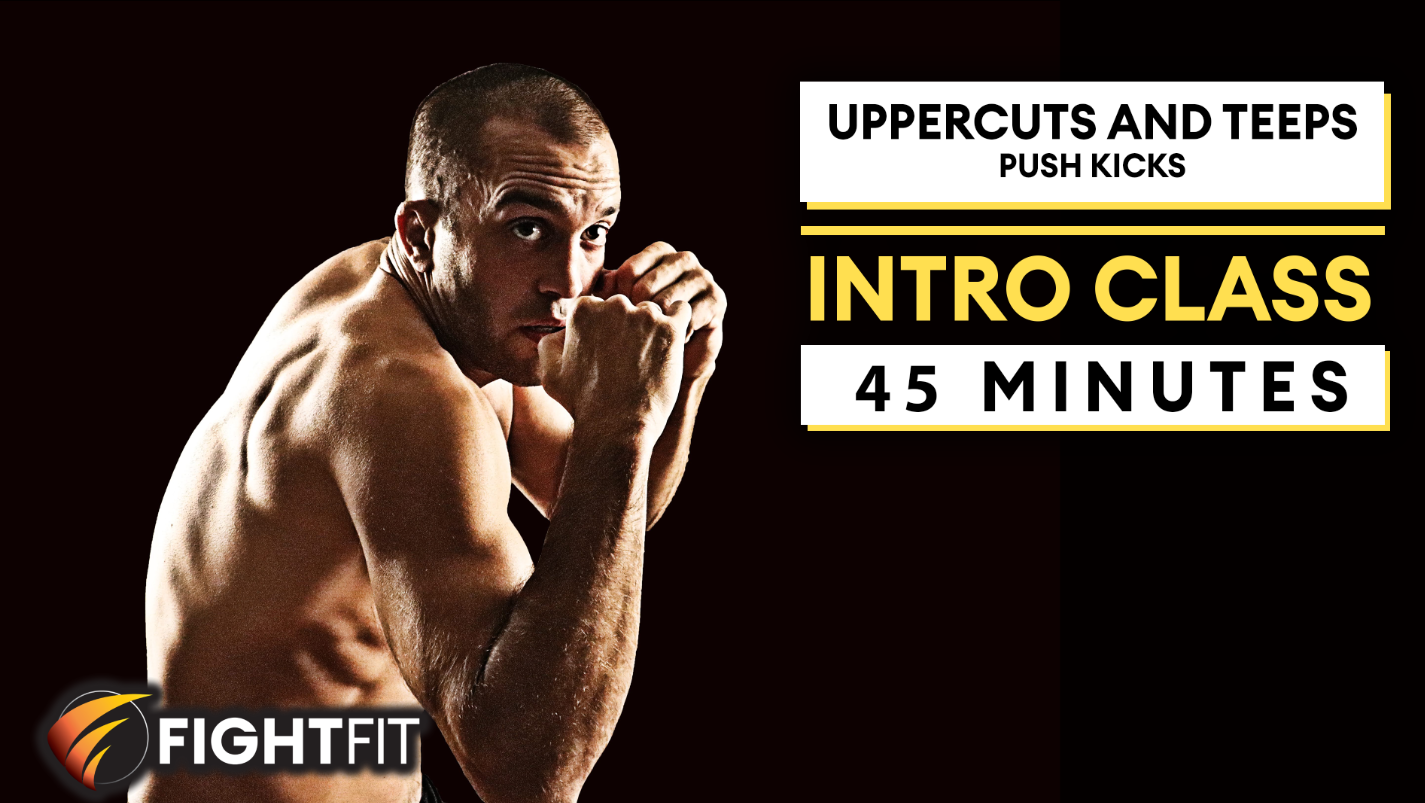 Intro Class 2: Uppercuts and Teeps (Push Kicks)