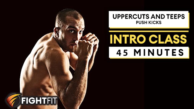 Intro Class 2: Uppercuts and Teeps (P...