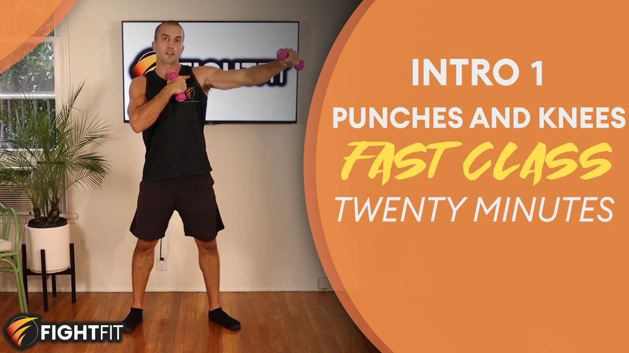 FAST Intro 1 - Punches and Knees
