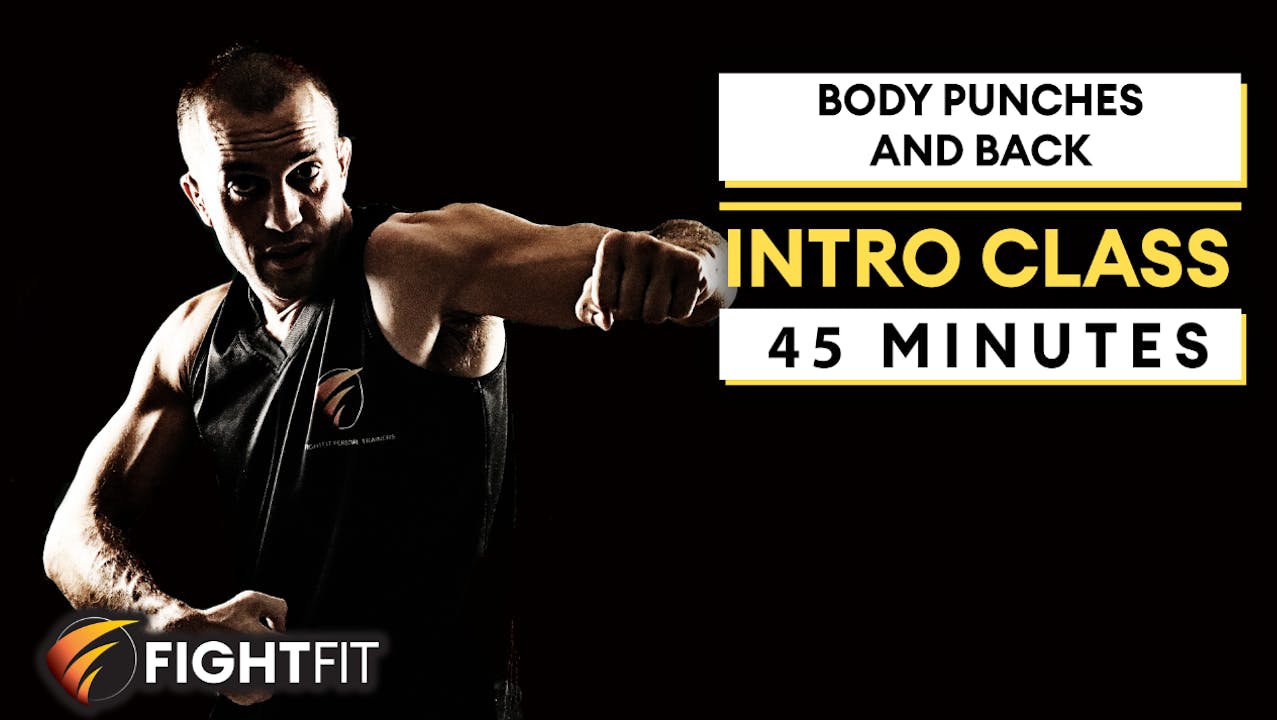 Intro Class 6 Body Punches and Back FightFit Online