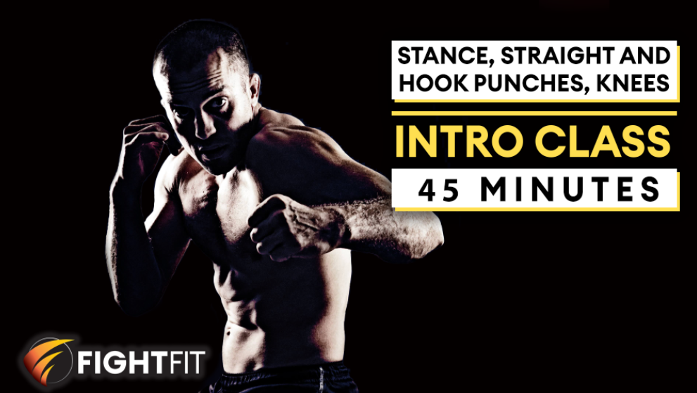 Intro Class 1: Stance, Straight and Hook Punches, Knees