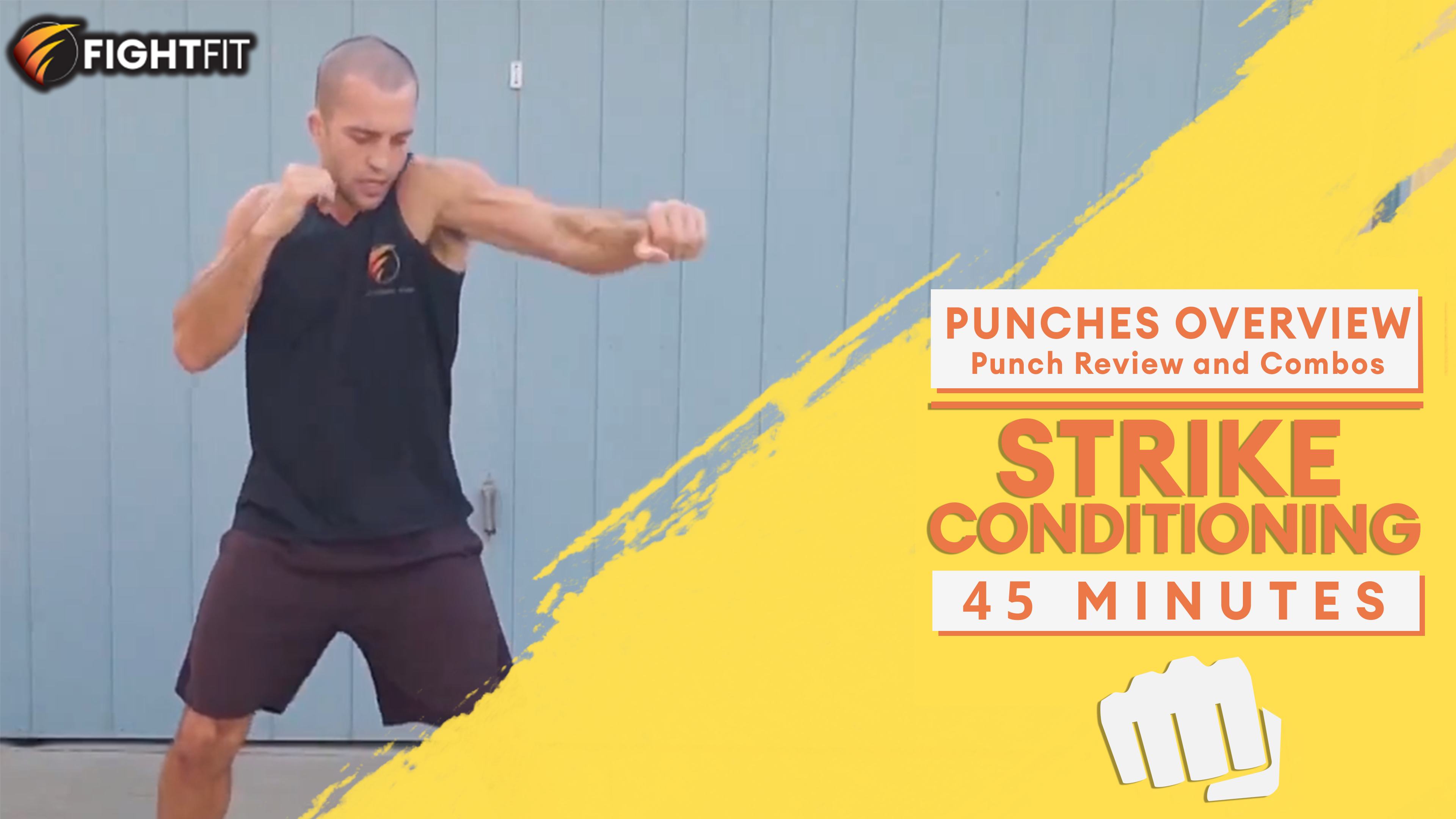 Punches Overview (Punch Review and Combos)