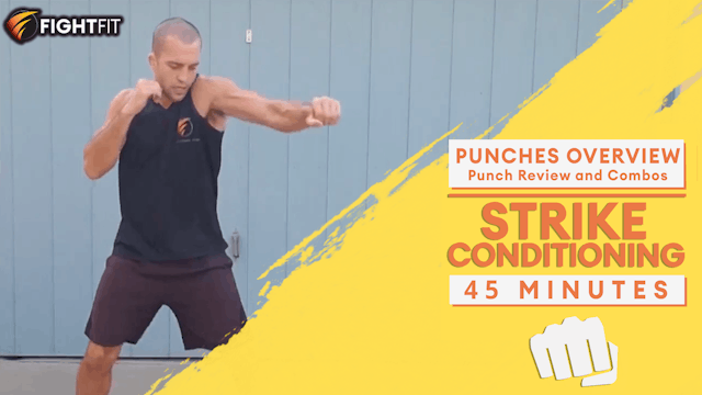 Punches Overview (Punch Review and Co...