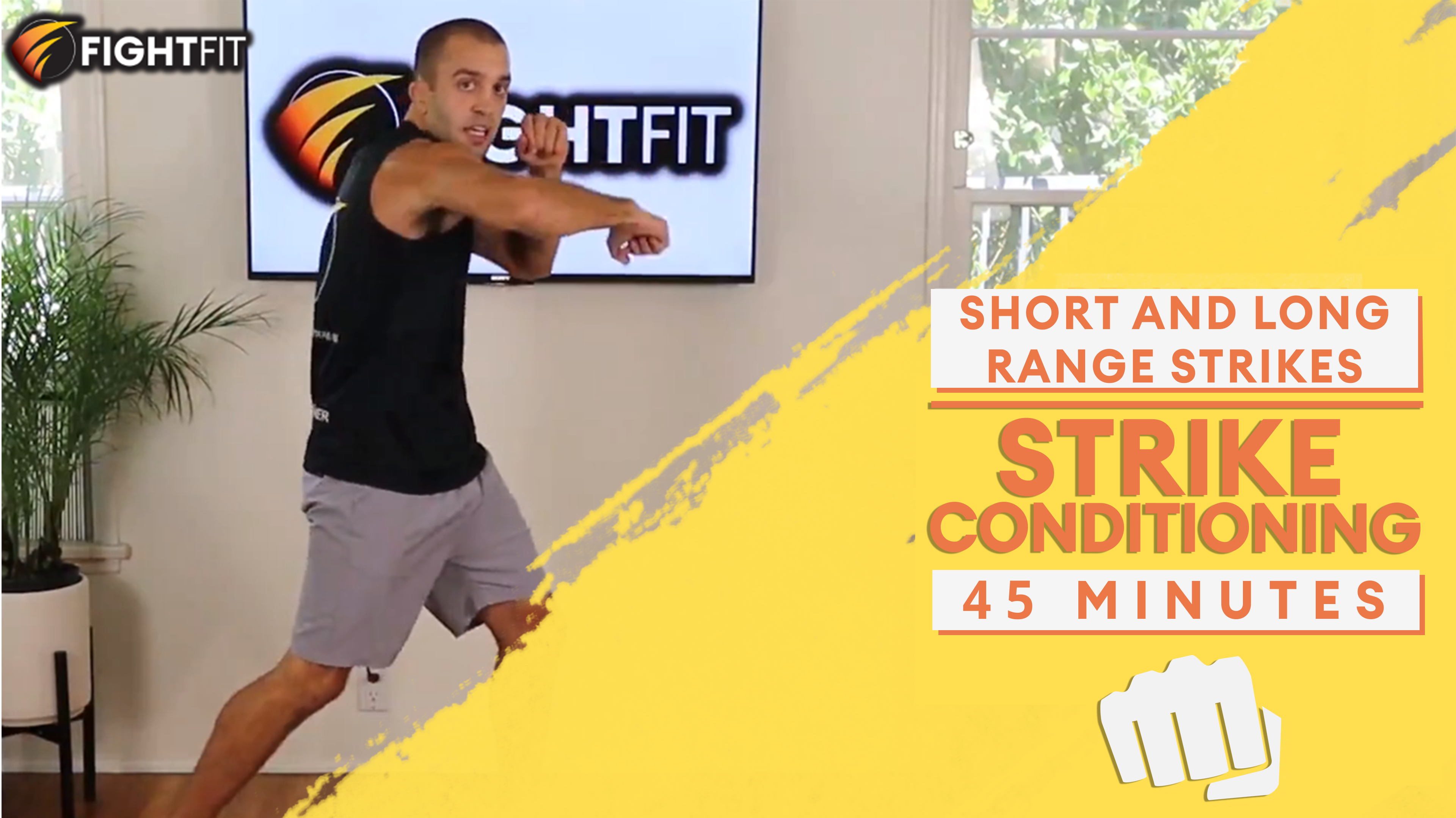 Short and Long Range Strikes