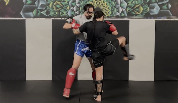 Lesson 2.4: Clinch - The Turn (Knee Defense)